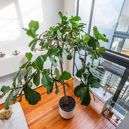 Luxurious Loft - River View * Lisbon
