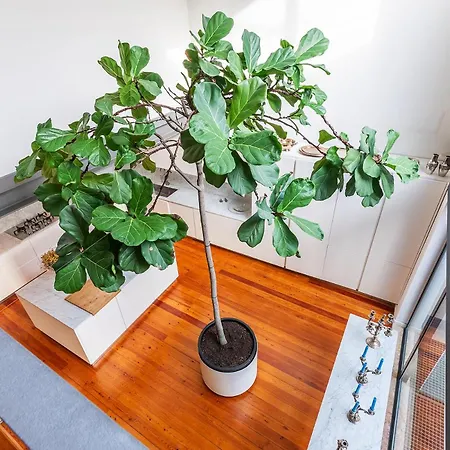 Apartman Luxurious Loft - River View